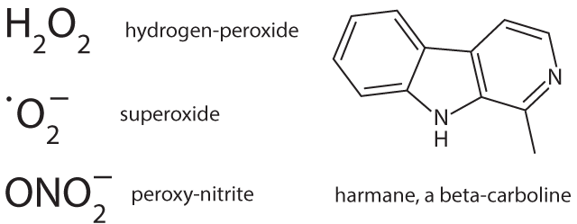 Neuromed-1-1015-Fig1